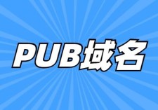 pub域名？pub域名是什么域名