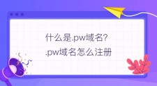 wang域名？域名后缀的wang是什么意思