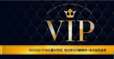 vip域名？VIP域名是什么意思