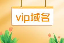 vip 域名 VIP域名是什么意思