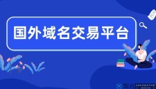 国外域名交易平台，谁知道国外的著名域名交易网站