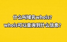 域名所有者？域名的注册商和所有人有什么区别