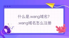 wang域名？wang域名是一个怎么样的域名