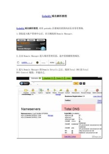 godaddy域名解析 godaddy 域名解析 是啥意思