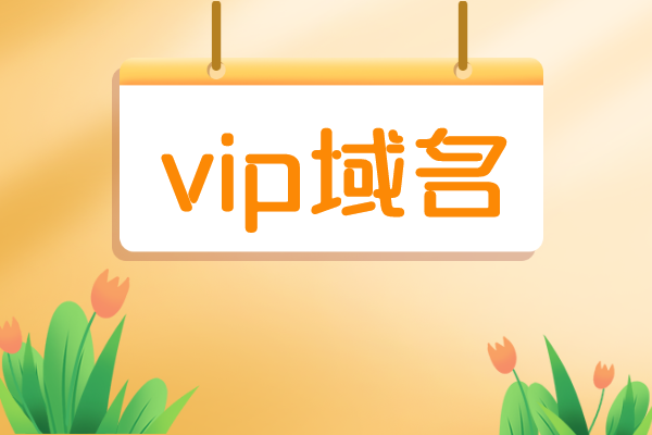 vip域名？VIP域名是什么意思