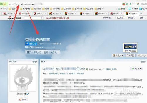 博客域名 新浪博客地址怎么写