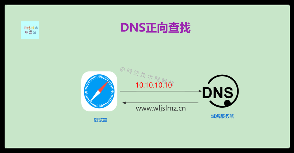 dns域名 域名DNS是什么