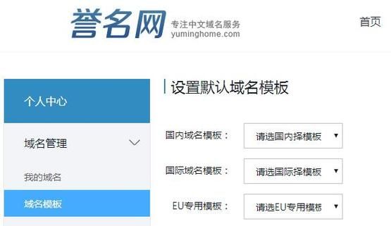 域名模板(域名模板名称怎么填)