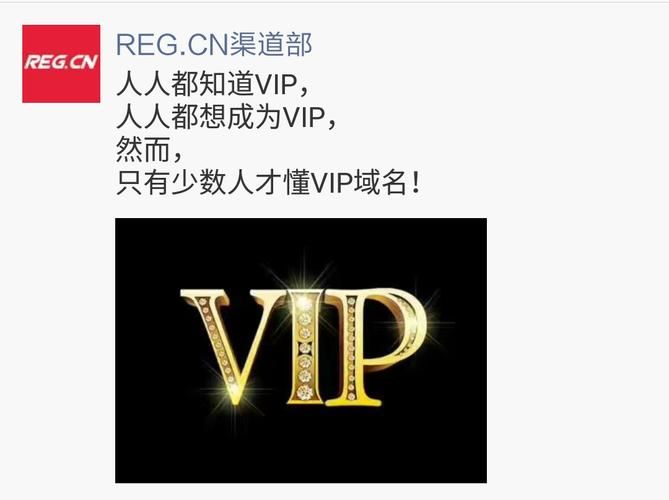 vip 域名 VIP域名是什么意思