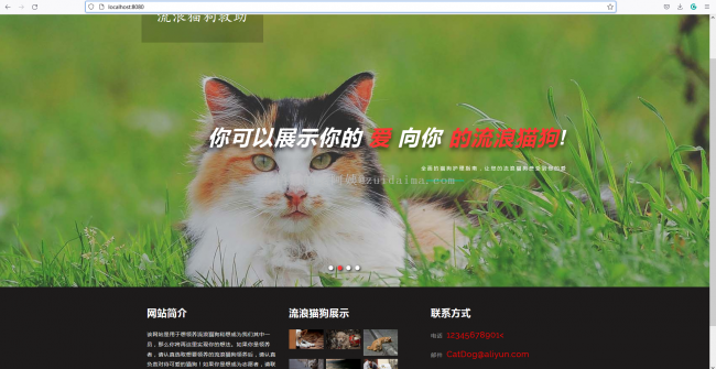 猫咪域名？猫咪最新域名是什么