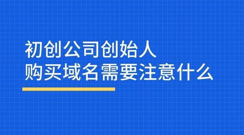 域名经纪人(域名经纪服务是怎么收费的)