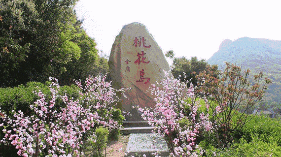 桃花论坛新域名(桃花岛论坛桃花岛论坛)