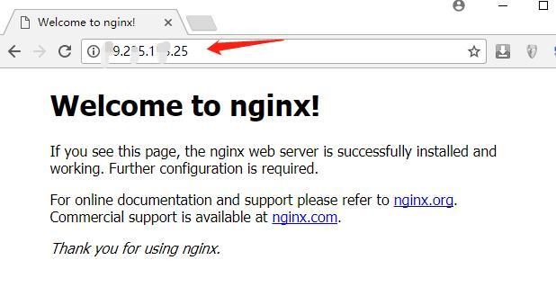 nginx 域名解析？nginx动态域名解析