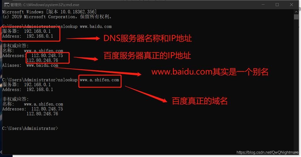 dns是域名吗？DNS与域名一样吗,有什么区别