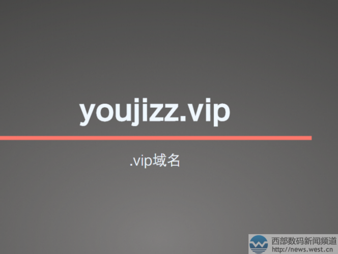 vip域名有价值吗？大家觉得.vip域名怎么样