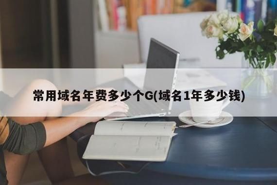 域名年费?网站域名费用一年大概是多少钱 域名年费?网站域名费用一年大概是多少钱
