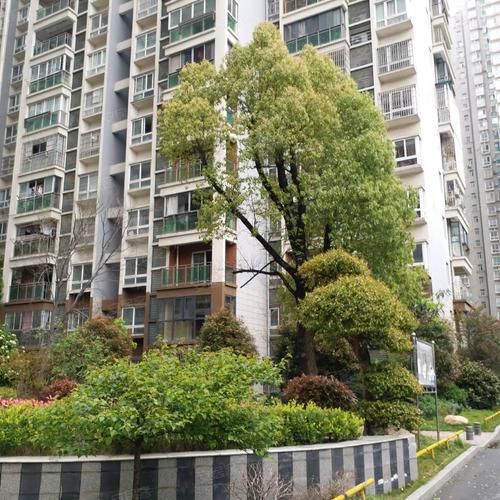 黄石天域名流(黄石天域·名流天地小区周边配套怎么样) 黄石天域名流(黄石天域·名流天地小区周边配套怎么样)