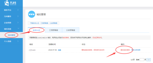 域名审核(域名的实名制审核是在哪里去审的)