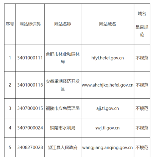 政府机构的域名 在域名中什么表示政府网站的域名