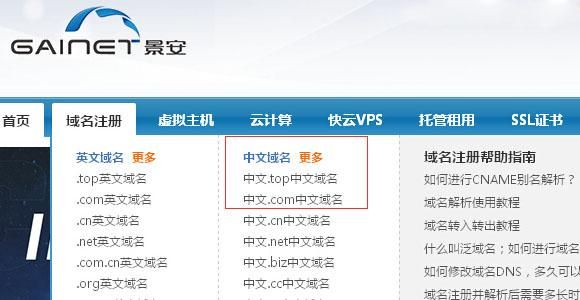 中文域名续费(如何进行中文域名如何收费)