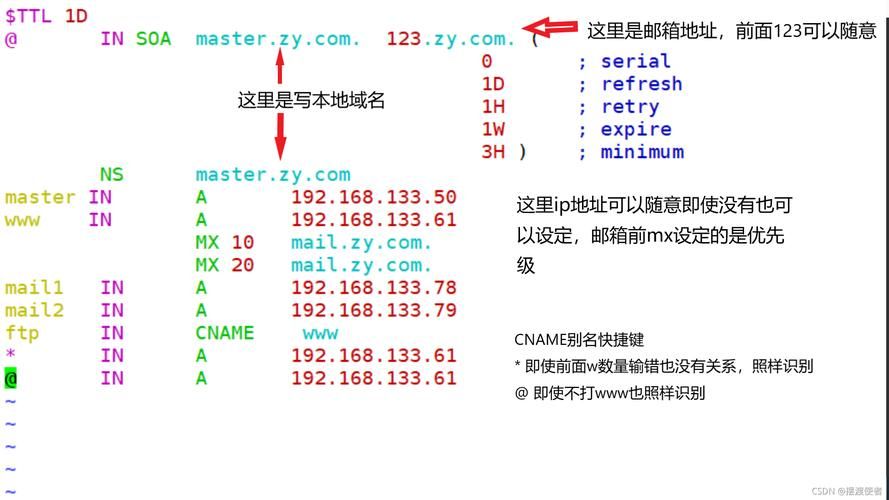 域名解析 ttl(域名解析中的ttl时间是什么意思)