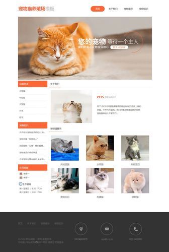 猫咪新域名 猫咪最新域名是什么