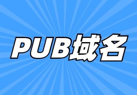 pub域名？pub域名是什么域名