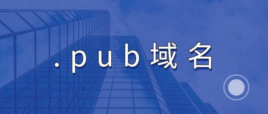 pub域名？pub域名是什么域名