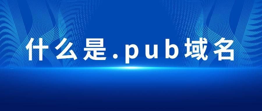 pub域名？pub域名是什么域名