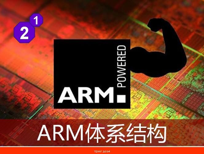 arm视频（arm视频教程）